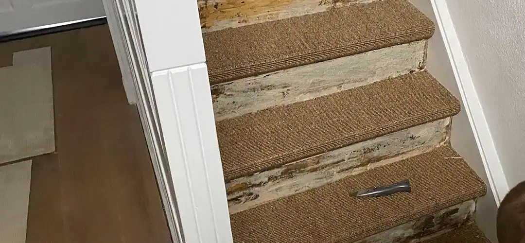 Een afbeelding van een houten trap waarbij tapijt wordt verwijderd, met zichtbare lijmresten en gereedschap zoals een stanleymes en schraper op de treden.