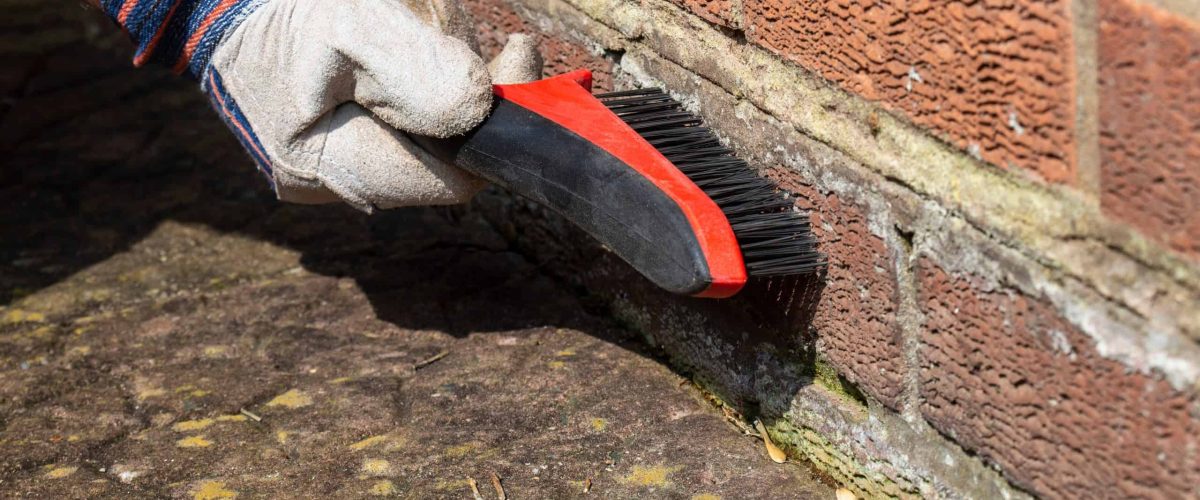 Close-up van een gloved hand die cementresten en vuil van tegels verwijdert.